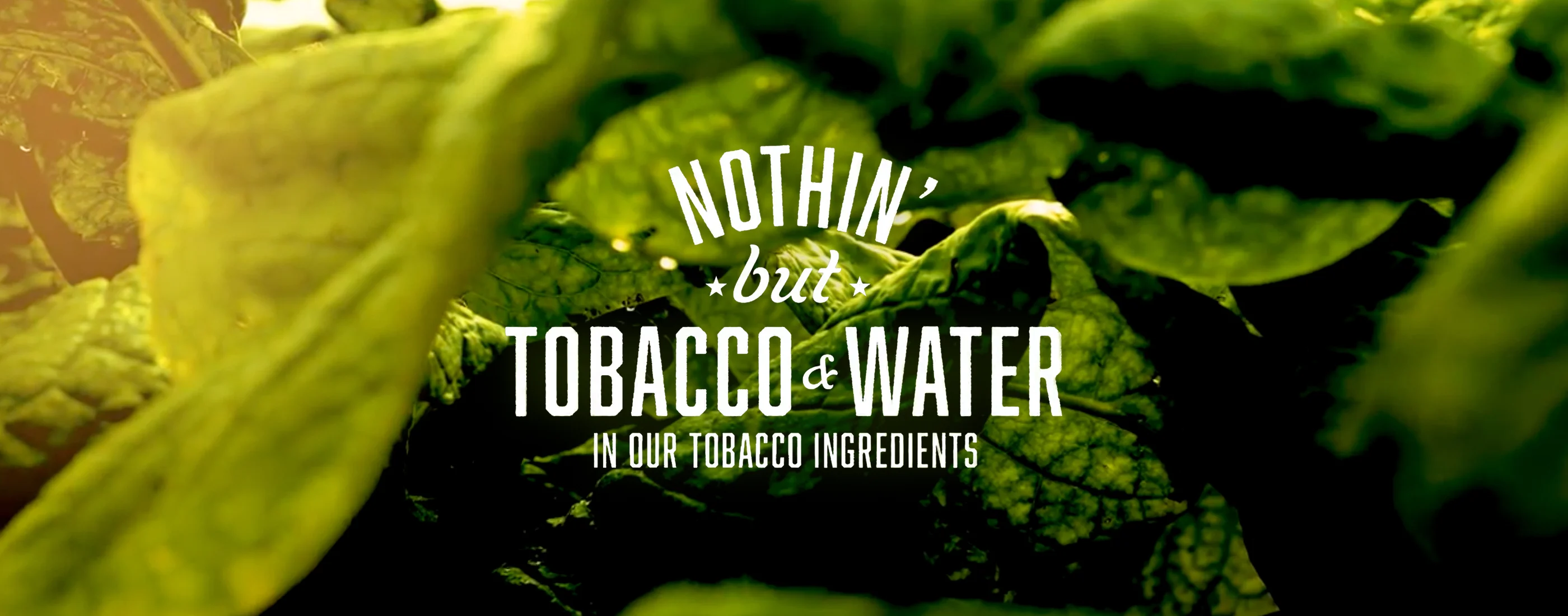 cigarettes and water Quality